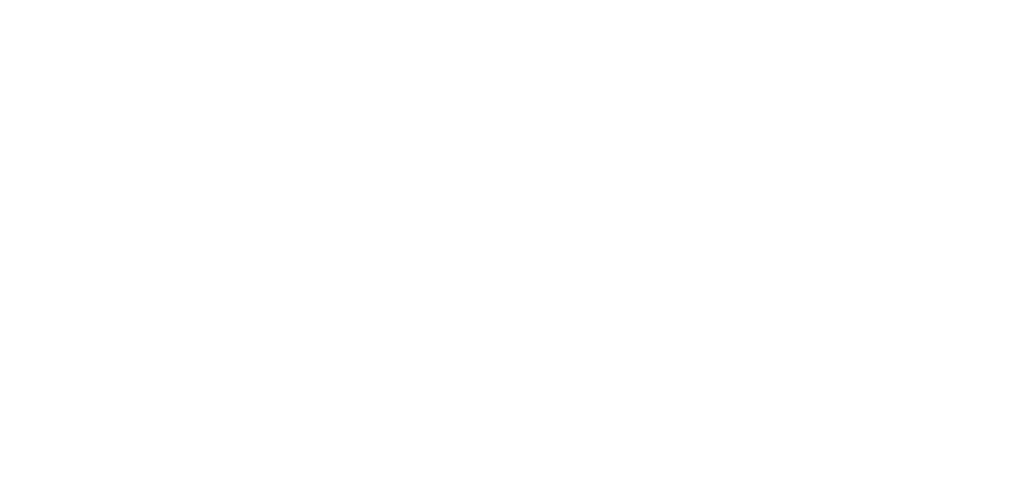 VedicConsult